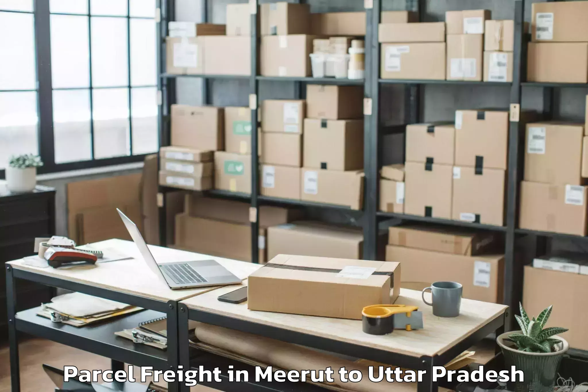 Trusted Meerut to Belthara Road Parcel Freight